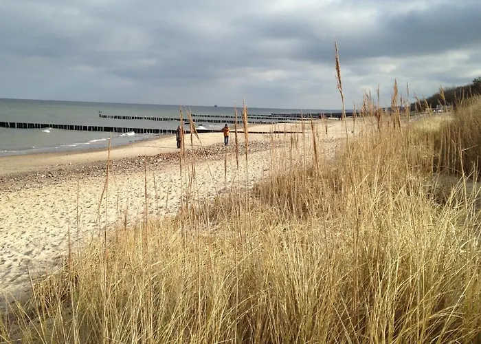 Nele Hébergement de vacances